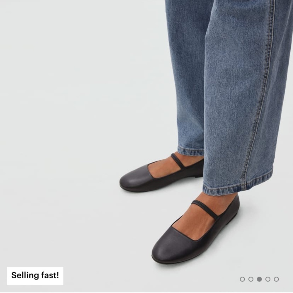 Everlane The Mary Jane Flats size 7.5